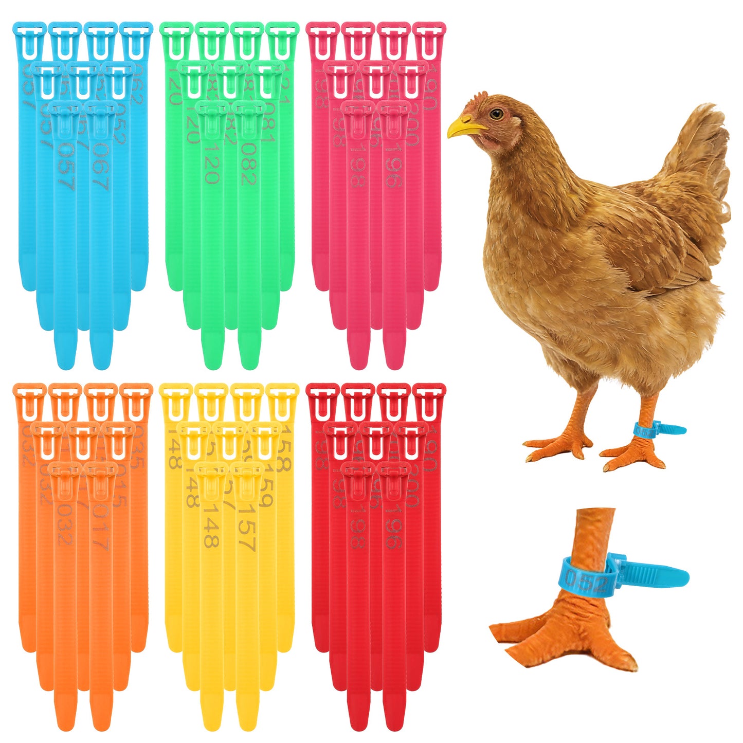 120Pcs Chicken Leg Bands, Easily Identify Your Poultry with Colorful Leg Bands, Durable and Bright Colors Long-Lasting Visibility Poultry Duck Goose Chick Legs Band for Farm Management Wire Organizing