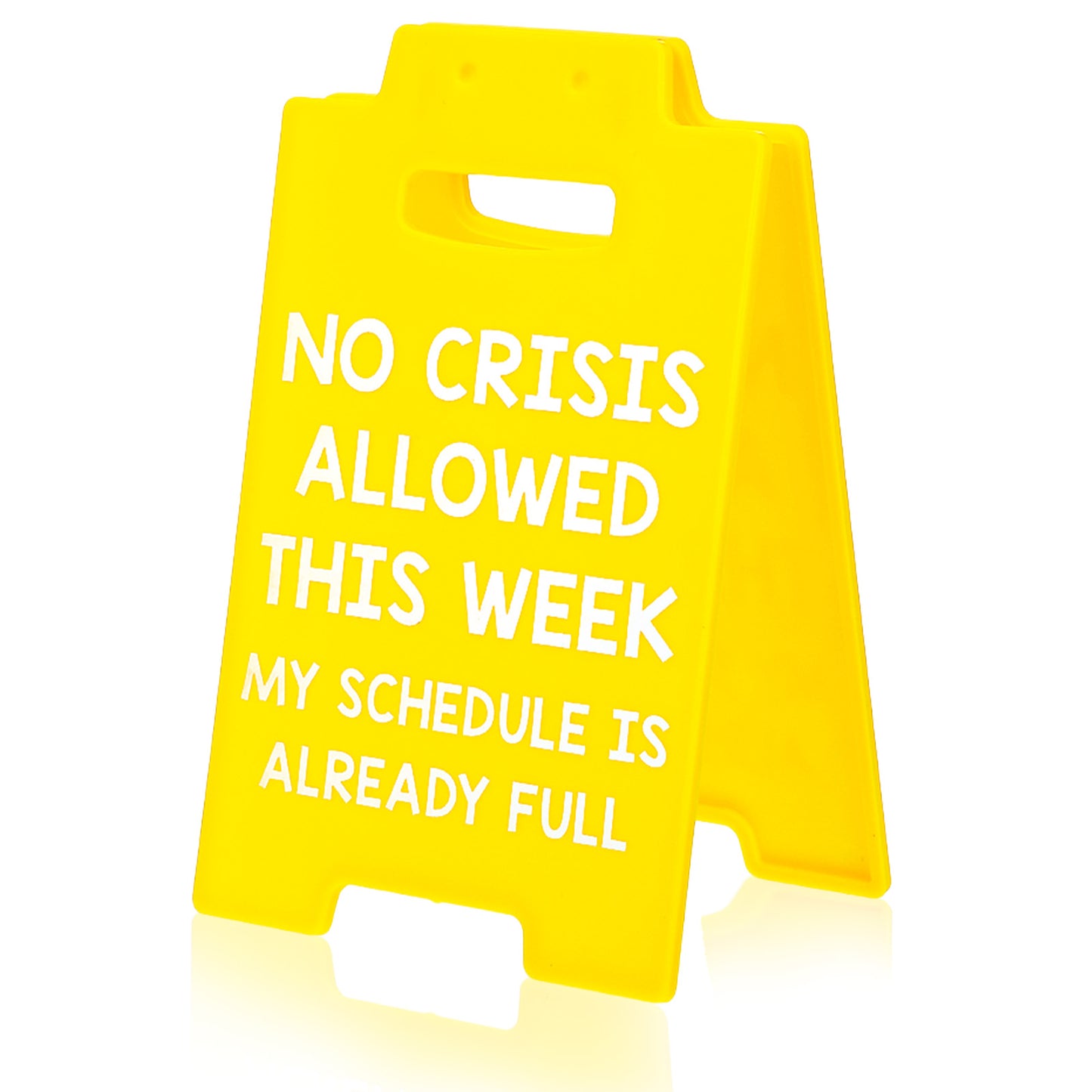 funny desk signs Funny Office Desk Decor Boss Sign, Bosses Day gift for boss office signs gifts for Women Men Manager