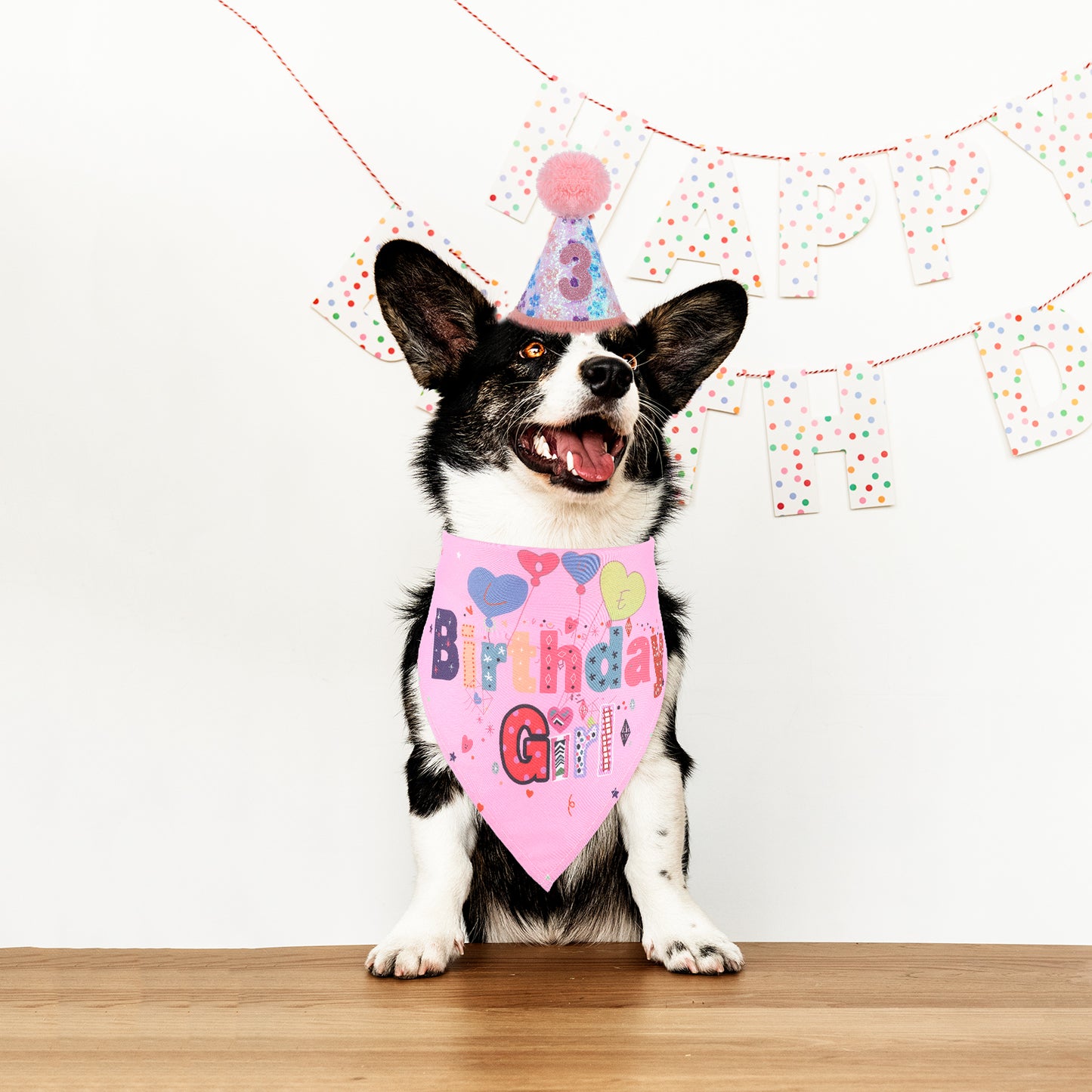 Dog Birthday Bandana,Pet Party Supplies with Dog Birthday Hat, Numbers and Bow Collar,Dogs Birthdays Decorations Set for Large Medium Small Dogs Pet Supplies