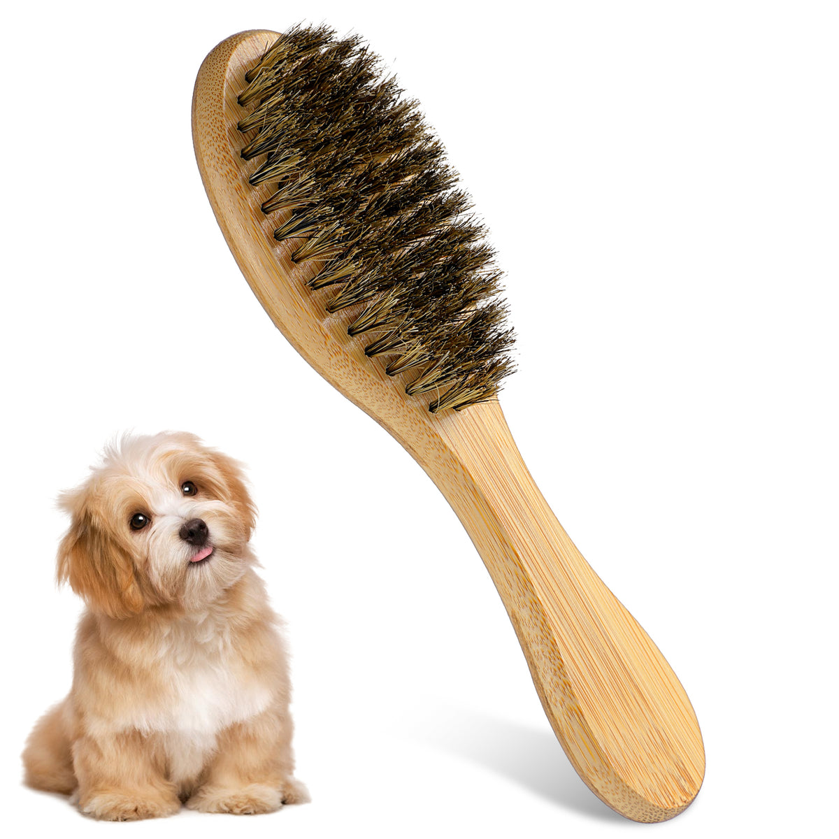 Soft Boar Bristle Hair Brush,Dog Brush for Short Haired Dogs
