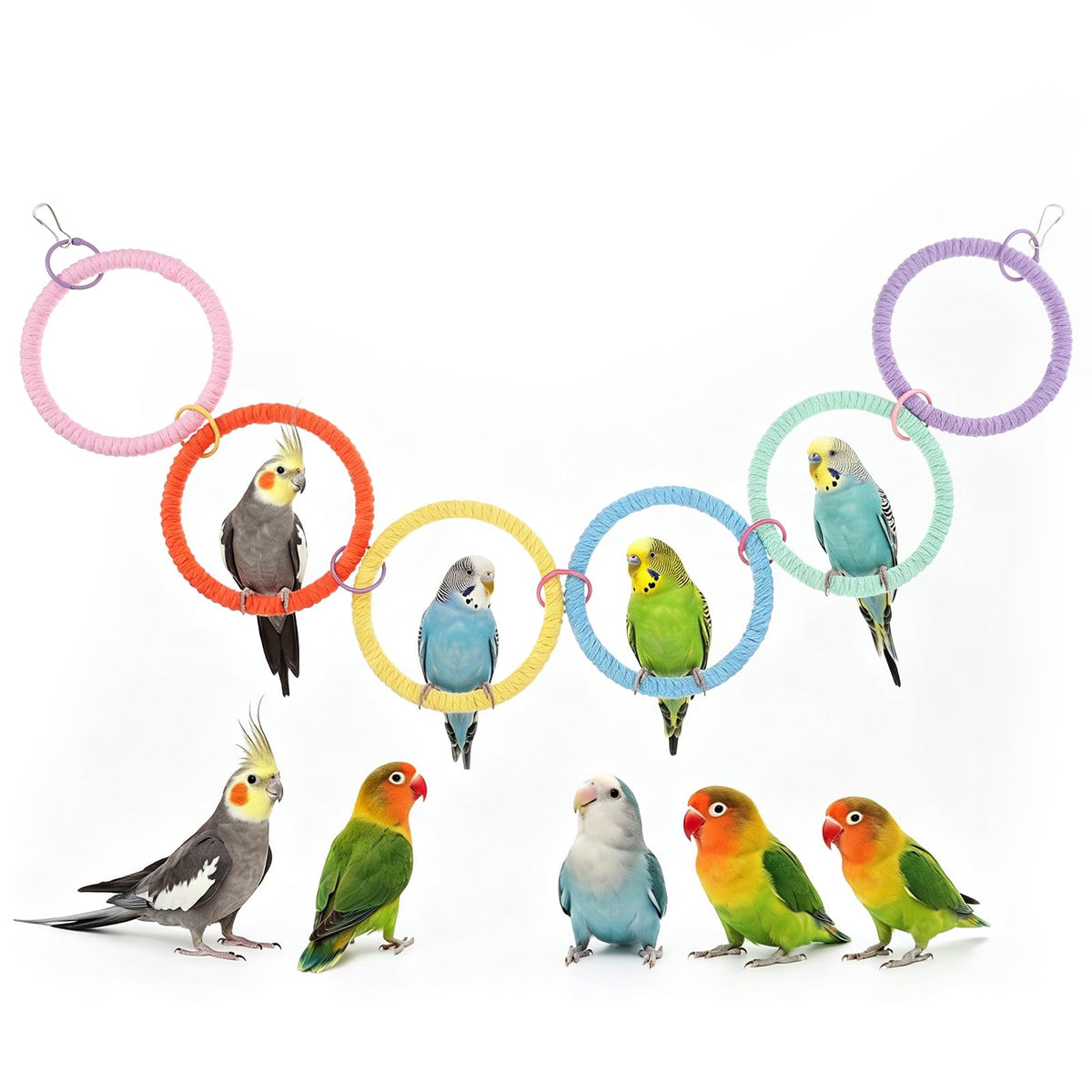 Ziuohaa 6-Ring bird swing for cage - Colorful Plastic parrot swing