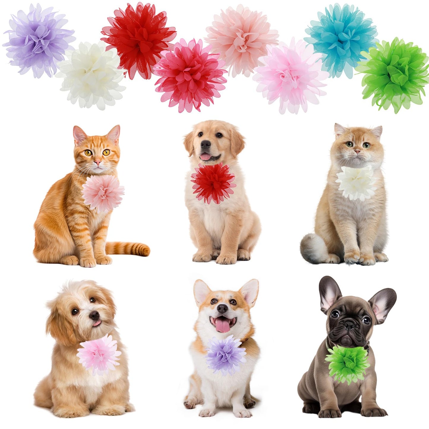 8Pcs Small Dog Collar Flowers, Multi-Color Pet Flower Collars, Pet Collar Flowers Clip on Dog Bow Tie for Cat Dog Puppy Grooming, Dog Accessories with Rubber Bands 