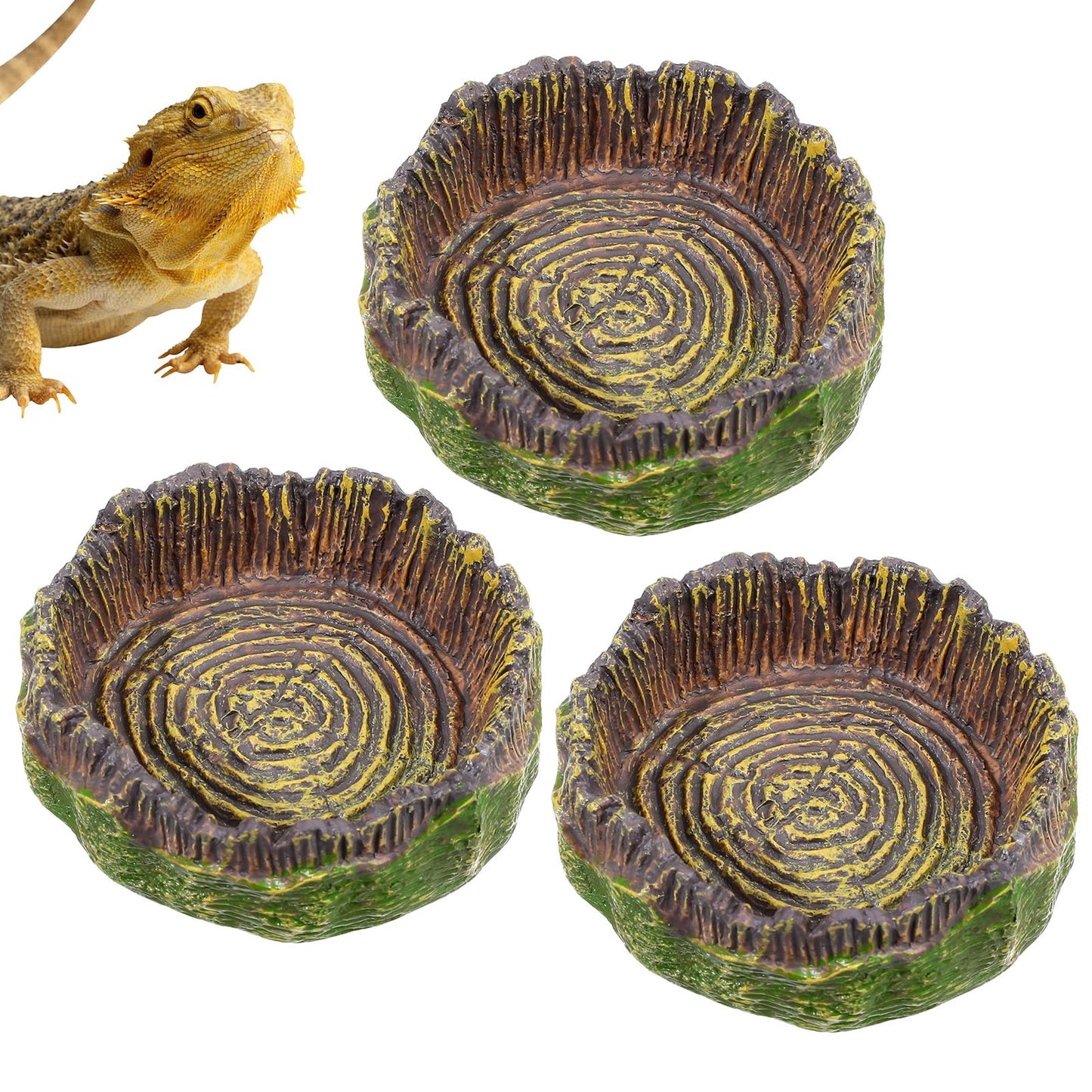3 Pack Small Reptile Food Dish - Reptile Feeding Dish Dispenser - Bearded Dragon Accessories Food Water Bowl with Resin for Crested Gecko Leopard Gecko Tortoise Hermit Crab Snail