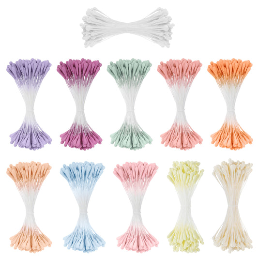 HekouJiub 1100 Pcs Stamens for Flower Making, Double Heads 2mm Flower Stamens for Crafts, 11 Colors, Artificial Fake Pollen for Wedding Bouquet Party Decoration Scrapbook