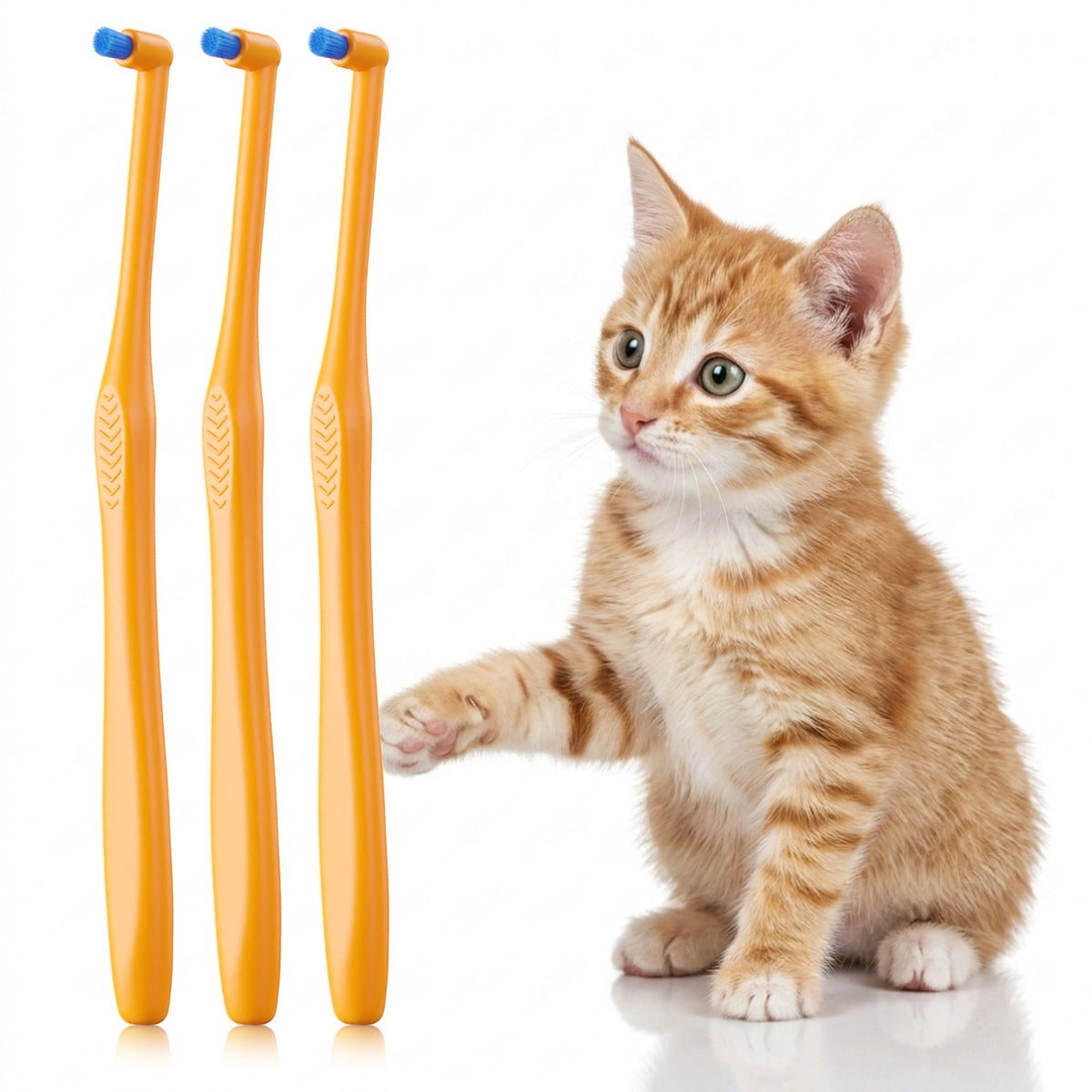 3 Pack Pet Toothbrush for Small Dogs & Cats, Tiny Head Toothbrush