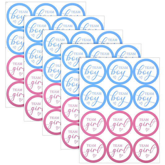60Pcs Boy or Girl Gender Reveal Stickers 5cm Pink and Blue Baby Voting Labels Gender Reveal Decorations for Baby Shower