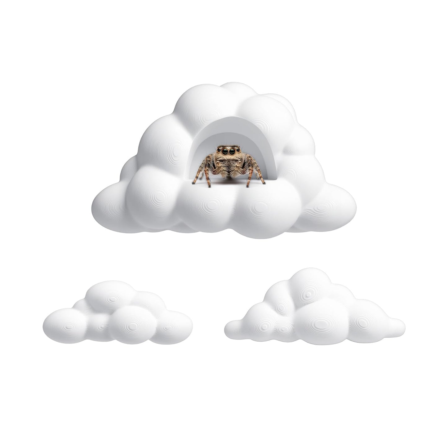 HaiFafafaing Jumping Spider Accessories – 3 PCS Cloud Theme Jumping Spider Platforms Set,Easy to Assemble, for Jumpingspider Climbing, Resting and Exploration