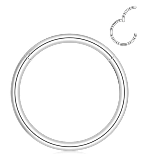 Telooco 2Pcs Nose Rings 20G Hinged Nose Ring Hoop 316L Surgical Steel Septum Clicker Hypoallergenic Silver Nose Rings Body Piercing Jewelry for Women Men