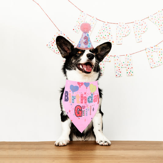 Dog Birthday Bandana,Pet Party Supplies with Dog Birthday Hat, Numbers and Bow Collar,Dogs Birthdays Decorations Set for Large Medium Small Dogs Pet Supplies