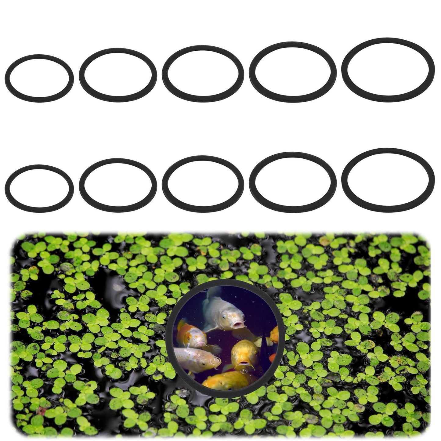 HekouJiub 10 Pcs Aquarium Floating Plant Rings EVA Fish Feeding Ring Black Aquarium Feeding Ring for Intercepts Floating Plants and Feeding (Size 22cm/18cm/14.5cm/12cm/9cm)