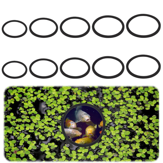 HekouJiub 10 Pcs Aquarium Floating Plant Rings EVA Fish Feeding Ring Black Aquarium Feeding Ring for Intercepts Floating Plants and Feeding (Size 22cm/18cm/14.5cm/12cm/9cm)