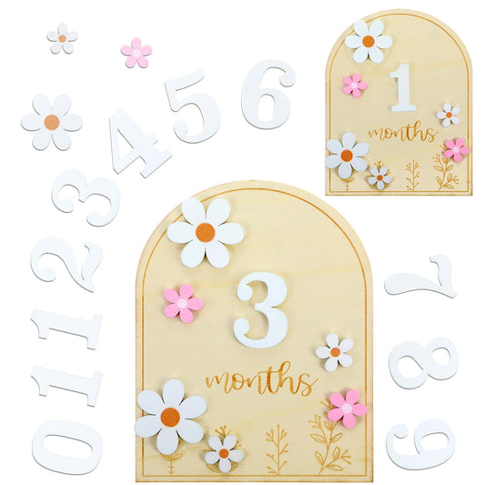 Monthly Baby Milestone, Daisy Baby Months Signs, Double-Sided Monthly Milestone Wood Discs with 11 Interchangeable Number, Baby Milestone Cards for Baby Growth Recording, 1-12 Months