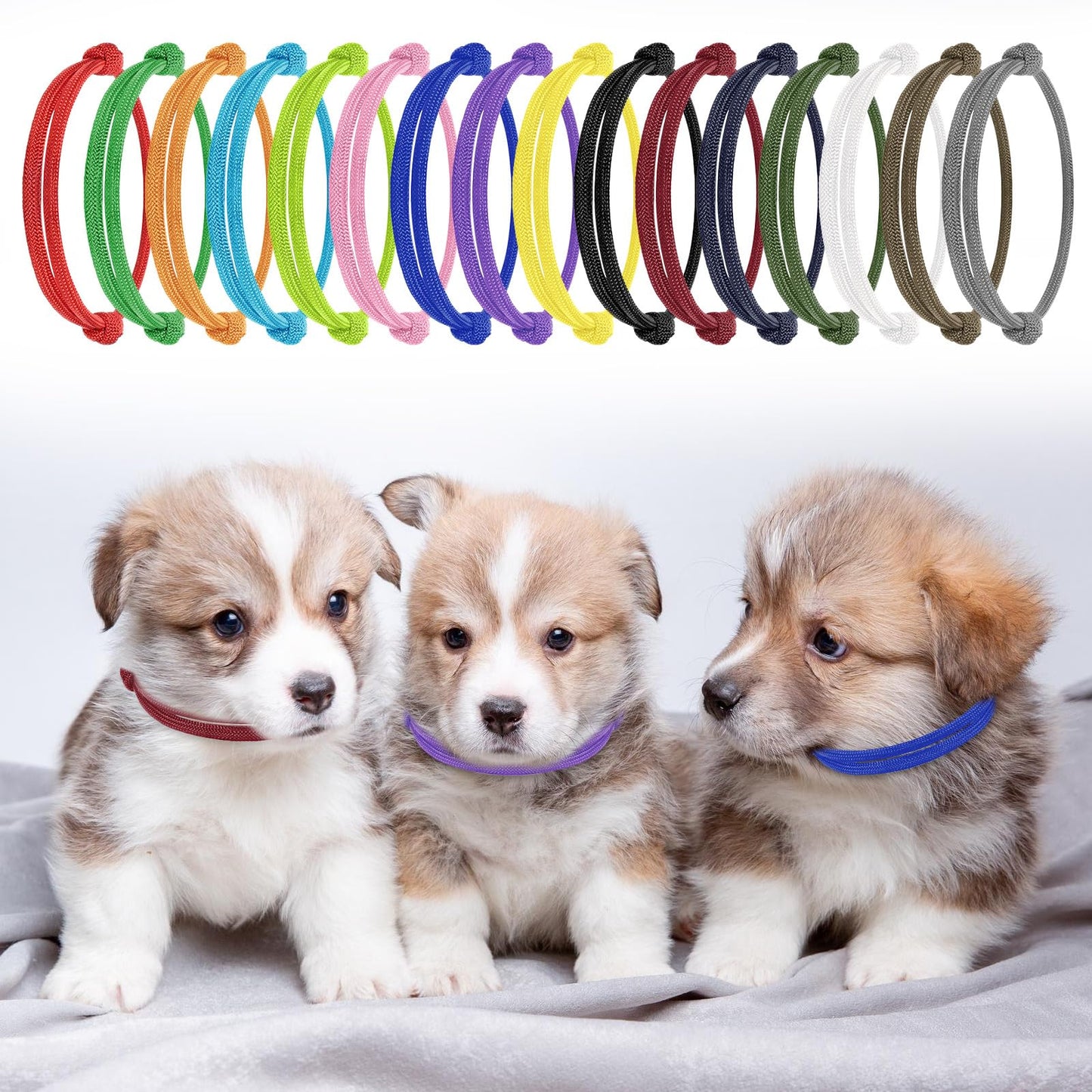 Puppy ID Collars Whelping Collars Adjustable Puppy ID Bands Identification Puppy Collar
