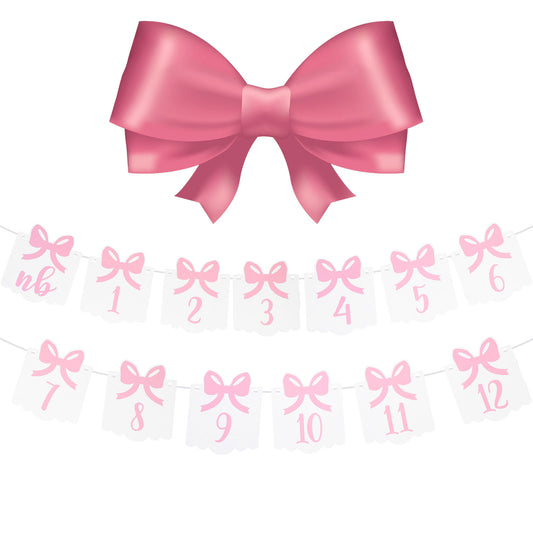 First Birthday Photo Banner Pink Monthly Milestone Photo Banner Newborn to 12 Months Photo Display for Baby Girls Birthday Decorations