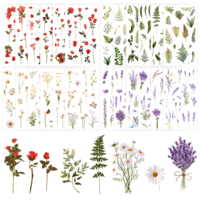 360PCS Natural Floral Stickers, Wildflowers Clear Stickers, PET Vintage Flower Sticker for Scrapbooking, Making Journals, Water Bottles, Crafts, Creative DIY Projects.