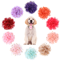 HekouJiub Dog Collar Flowers Chiffon Multi Color Dog Flower Bow Ties 4 Inch Puppy Charms Flower Collars for Puppy Collar Grooming Accessories