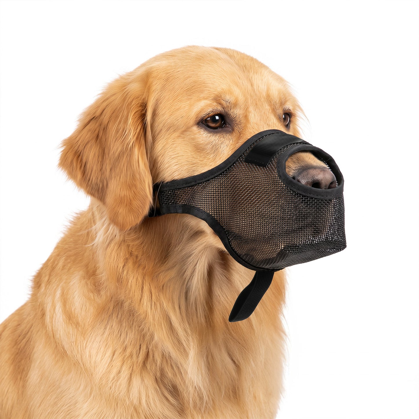 Dog Muzzles with Breathable Mesh, Adjustable Soft Muzzle for Dogs, Dog Muzzles to Prevent biting, Allows Panting and Drinking, for Large Dogs (XL Black)