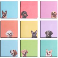 Dog Sticky Notes Set for Dog Lovers – 9 Pads 3"x3" Self-Stick Cute Notes, Kawaii Adhesive Memo Pads with Puppy Designs, Office Desk Accessories & School Supplies, Funny Stationery Gift